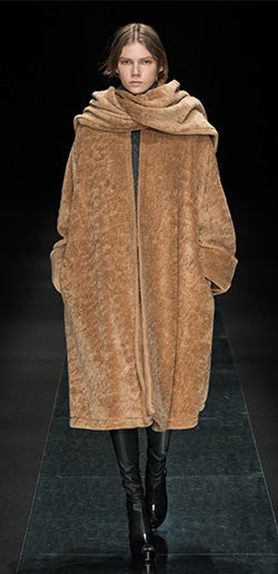 Autumn Winter 2019-2020