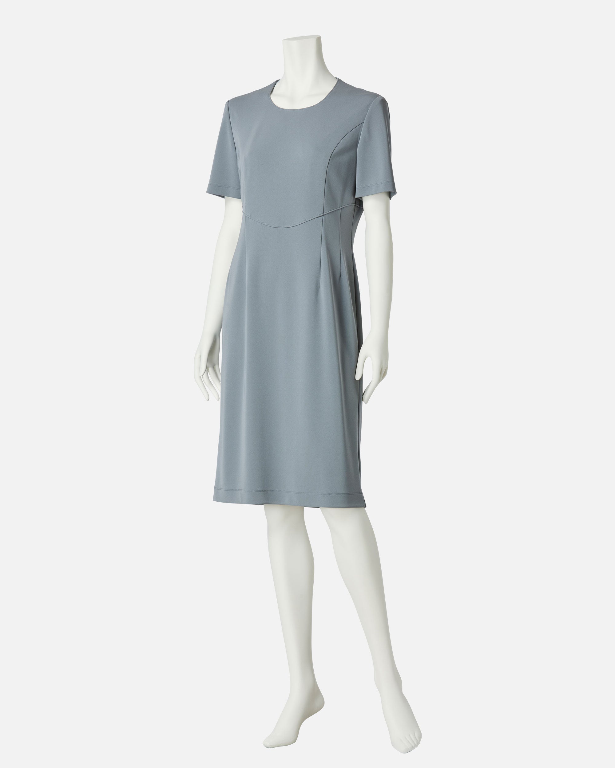 Multi-Platique Short Sleeve Dress
