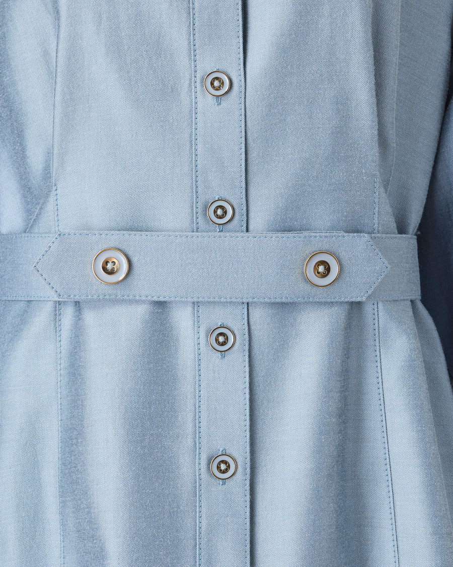 Shirt collar dress