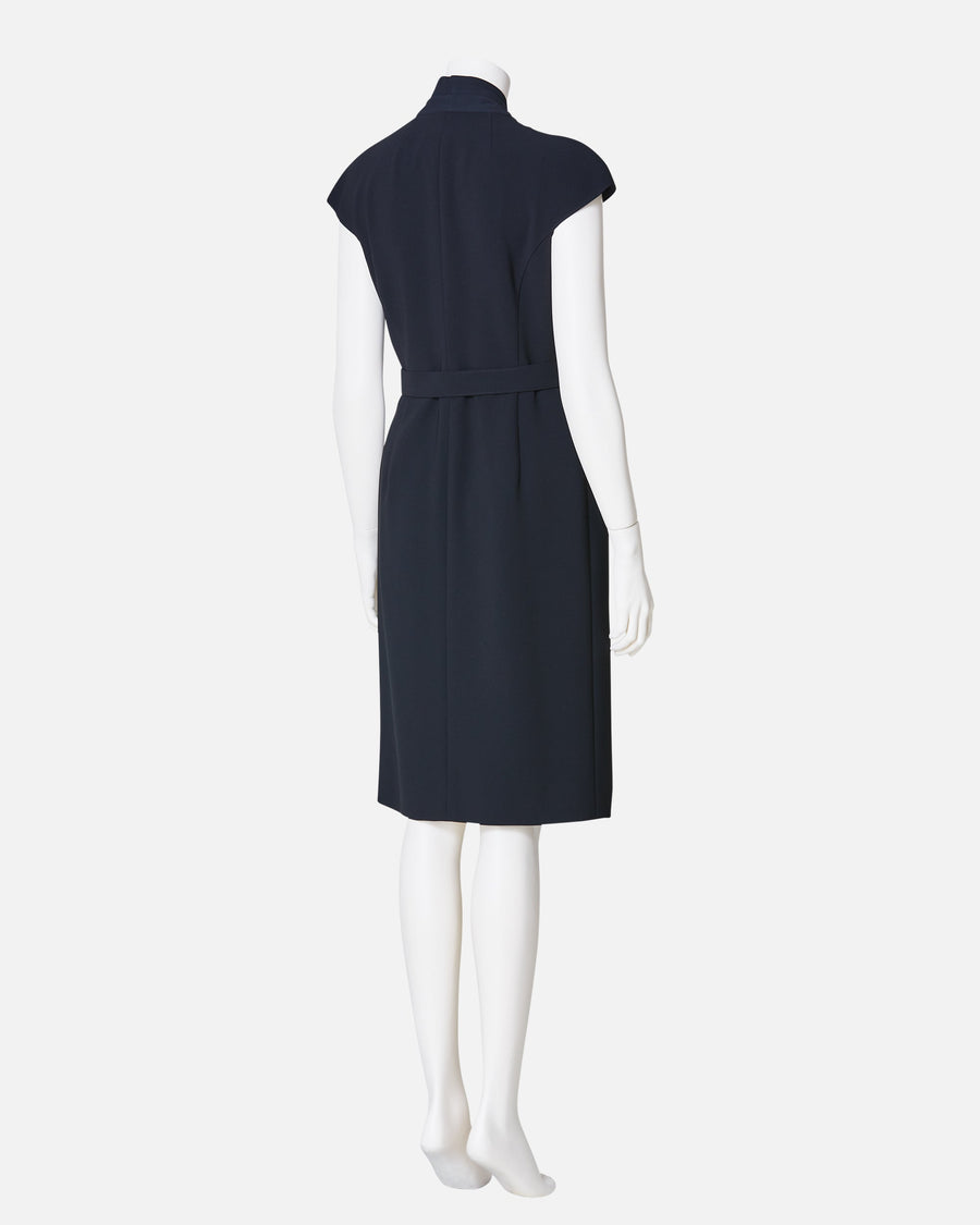 Cache-Coeur Dress with Drape Chiffon Collar